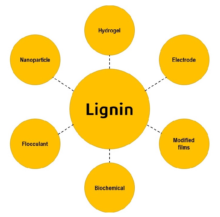 A Brief Review on Applications of Lignin 