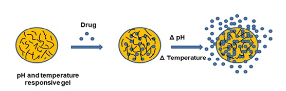 A Review on pH and Temperature Responsive Gels in Drug Delivery 
