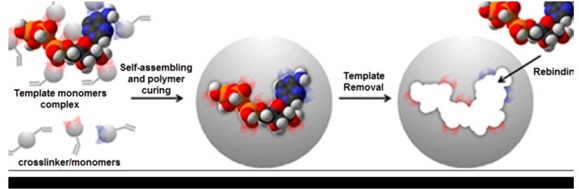 A Review on: Molecularly Imprinting Polymers by Ion Selective Electrodes for Determination Drugs 