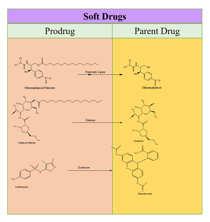 The Design of Soft Drugs: Basic Principles, Energetic Metabolite Methods, Approved Compounds, and Pharmaceutical Applications 