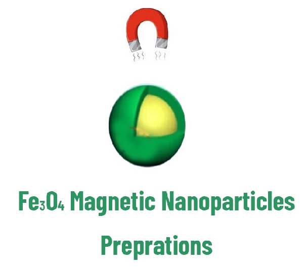 Progressive Types of Fe3O4 Nanoparticles and Their Hybrids as Catalysts 