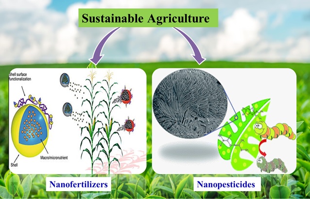 Nanomaterial-based Agrochemicals New Avenue for Sustainable Agriculture: A Short Review 