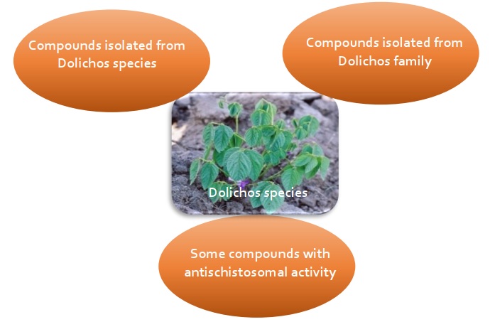 Bioactive Compounds and Antischistosomal Activity of Dolichos Species: A Review 