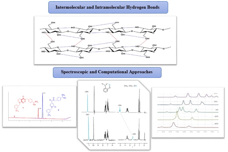 Understanding Intermolecular and Intramolecular Hydrogen Bonds: Spectroscopic and Computational Approaches 