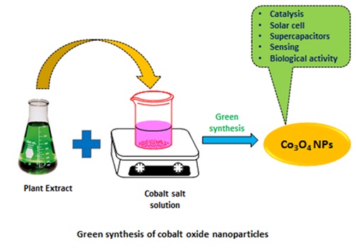A Review on Bio-Synthesized Co3O4 Nanoparticles Using Plant Extracts and their Diverse Applications 