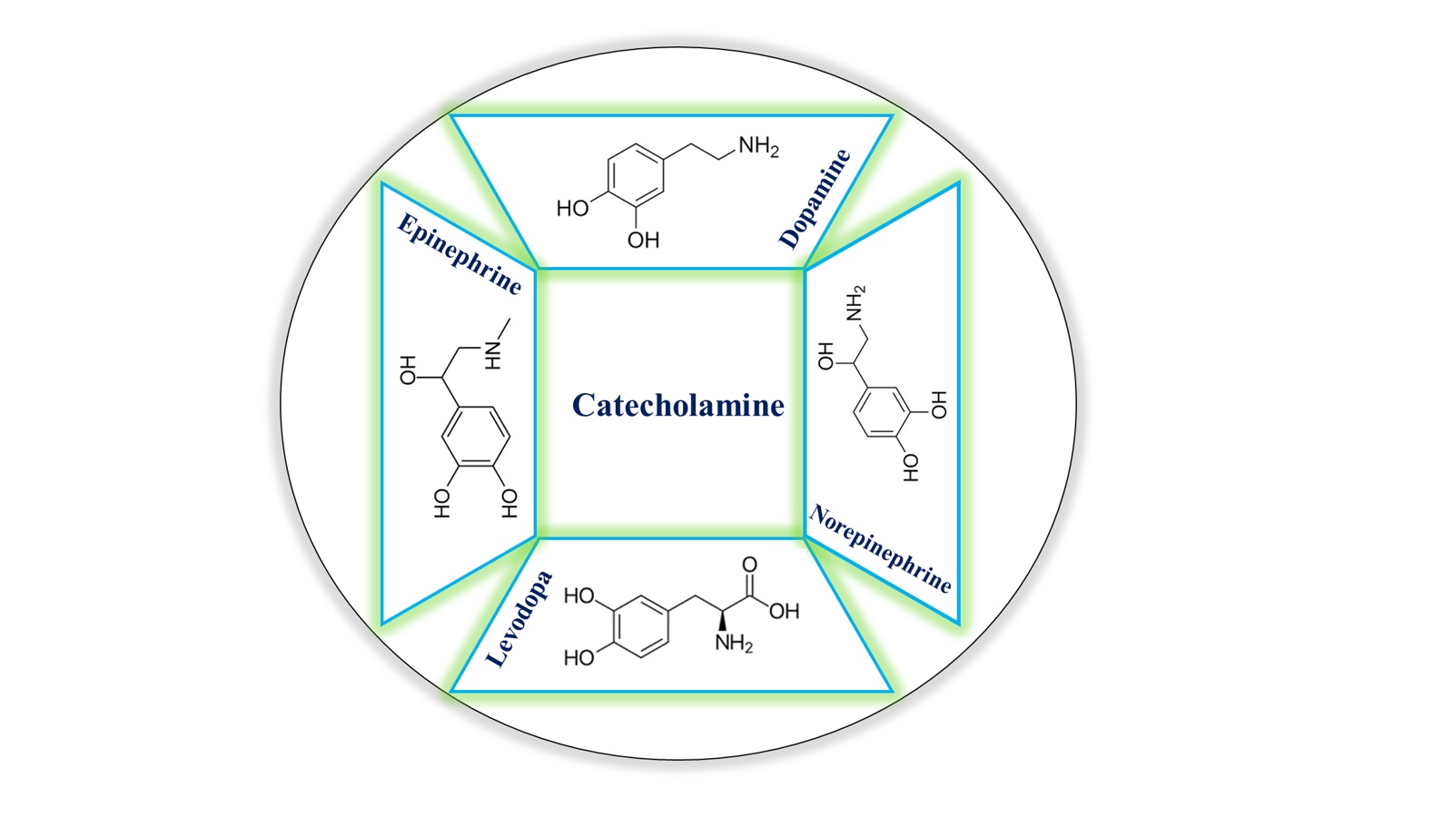 Recent Advances in Fluorescence Detection of Catecholamines 