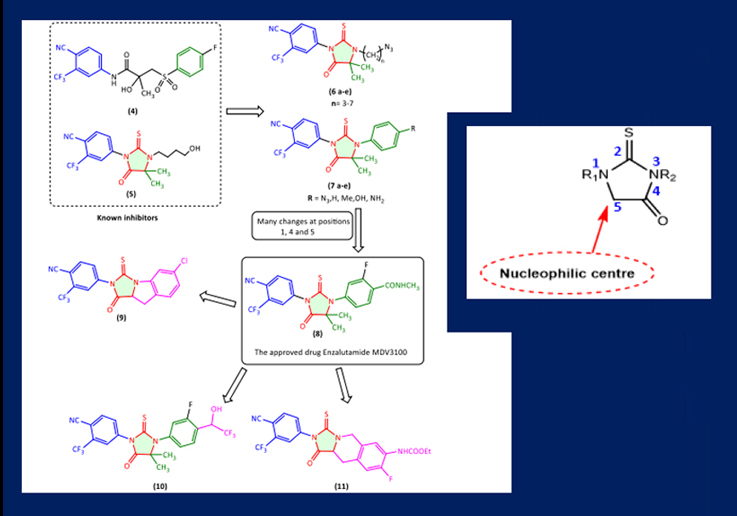 Recent Biological Applications and Chemical Synthesis of Thiohydantoins 